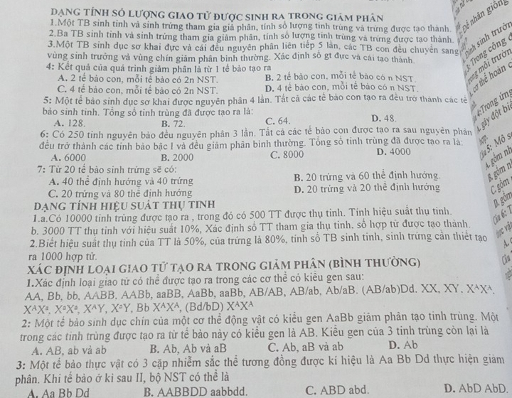 đạng tính só lượng giao tử được sinh ra trong giảm phân
1.Một TB sinh tỉnh và sinh trứng tham gia giả phân, tính số lượng tinh trùng và trứng được tạo thành. Dể nhân giôna
2.Ba TB sinh tỉnh và sinh trứng tham gia giảm phân, tính số lượng tinh trùng và trứng được tạo thành.
sinh sinh trưởi
3.Một TB sinh dục sơ khai đực và cái đều nguyên phân liên tiếp 5 lần, các TB con đều chuyên sang M
:  Trong công
vùng sinh trưởng và vùng chín giảm phân bình thường. Xác định số gt đực và cái tạo thành.
4: Kết quả của quá trình giảm phân là từ 1 tế bảo tạo ra B. 2 tế bảo con, mỗi tế bào có n NST. ng môi trười
A. 2 tế bào con, mỗi tế bảo có 2n NST.
C. 4 tế bảo con, mỗi tế bào có 2n NST. D. 4 tế bảo con, mỗi tế bảo có n NST.  cơ thể hoàn 
5: Một tế bảo sinh dục sơ khai được nguyên phân 4 lần. Tắt cả các tế bảo con tạo ra đều trở thành các tẻ
bào sinh tinh. Tổng số tinh trùng đã được tạo ra là: D. 48.
A. 128 B. 72. C. 64.
:Trong ứn
6: Có 250 tinh nguyên bảo đều nguyên phân 3 lần. Tắt cả các tế bảo cọn được tạo ra sau nguyên phản
gây đột bị
đều trở thành các tinh bảo bậc I và đều giảm phân bình thường. Tổng số tinh trùng đã được tạo ra là:
A. 6000 B. 2000 C. 8000 D. 4000  5: Mô s
7: Từ 20 tể bảo sinh trứng sẽ có:
1 gồm nh
A. 40 thể định hướng và 40 trứng B. 20 trứng và 60 thể định hướng 8. gồm n
C. 20 trứng và 80 thể định hướng D. 20 trứng và 20 thể định hướng C gồm
DạnG tÍnH hiệu suát thụ tinh
D. gồm
1.a.Có 10000 tinh trùng được tạo ra , trong đó có 500 TT được thụ tinh. Tính hiệu suất thụ tinh.
b. 3000 TT thụ tinh với hiệu suất 10%, Xác định số TT tham gia thụ tinh. số hợp tử được tạo thành. Ca 6: 1
hực vậ
2.Biết hiệu suất thụ tinh của TT là 50%, của trứng là 80%, tính số TB sinh tinh, sinh trứng cản thiết tạo
ra 1000 hợp tử.
xáC định loại giao tử tạo ra trong giảm phân (bình thường) Câu
1.Xác định loại giao tử có thể được tạo ra trong các cơ thể có kiều gen sau:
AA, Bb, bb, AABB, AABb, aaBB, AaBb, aaBb, AB/AB, AB/ab, Ab/aB. (AB/ab)Dd. XX, XY, X+X+
X^AX^a,X^aX^a,X^AY,X^aY,BbX^AX^A , (Bd/bD) X^AX^A
2: Một tế bảo sinh dục chín của một cơ thể động vật có kiểu gen AaBb giảm phân tạo tinh trùng. Một
trong các tinh trùng được tạo ra từ tế bảo này có kiểu gen là AB. Kiều gen của 3 tinh trùng còn lại là
A. AB, ab và ab B. Ab, Ab và aB C. Ab, aB và ab D. Ab
3: Một tế bảo thực vật có 3 cặp nhiễm sắc thể tương đồng được kí hiệu là Aa Bb Dd thực hiện giảm
phân. Khi tế bảo ở kì sau II, bộ NST có thể là
A Aa Bb Dd B. AABBDD aabbdd. C. ABD abd. D. AbD AbD.