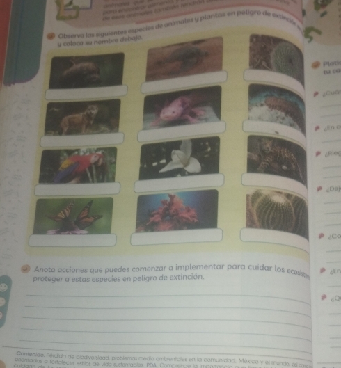 de esos aitnbes fombvén fenamón 
Observa las siguientes especies de animales y plantas en peligró de extinció. 
y coloca su nombre debajo 
Plati 
tu ca 
,ōuó 
_ 
_ 
En c 
_ 
∠Riog 
_ 
_ 
Dej 
_ 
_ 
_ 
¿Co 
_ 
_ 
② Anota acciones que puedes comenzar a implementar para cuidar los ecos m JEn 
_ 
proteger a estas especies en peligro de extinción. 
_ 
_ 
60 
_ 
_ 
_ 
_ 
_ 
_ 
_ 
Confenide, Pérdida de biadiversidad, probiemas medio ambientales en la comunidad. Méxica y el mundo, as cr _ 
orientadas a fortalecar estilos de vída sustentablés. PDM. Comprende la importona