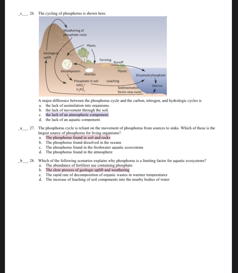 c_ 26.  shown here.
A major difference between the phosphorus cycle and the carbon, nitrogen, and hydrologic cycles is
a. the lack of assimilation into organisms.
b. the lack of movement through the soil.
c. the lack of an atmospheric component.
d. the lack of an aquatic component.
_a_ 27. The phosphorus cycle is reliant on the movement of phosphorus from sources to sinks. Which of these is the
largest source of phosphorus for living organisms?
a. The phosphorus found in soil and rocks
b. The phosphorus found dissolved in the oceans
c. The phosphorus found in the freshwater aquatic ecosystems
d. The phosphorus found in the atmosphere
_b_ 28. Which of the following scenarios explains why phosphorus is a limiting factor for aquatic ecosystems?
a. The abundance of fertilizer use containing phosphate.
b. The slow process of geologic uplift and weathering
c. The rapid rate of decomposition of organic wastes in warmer temperatures
d. The increase of leaching of soil components into the nearby bodies of water