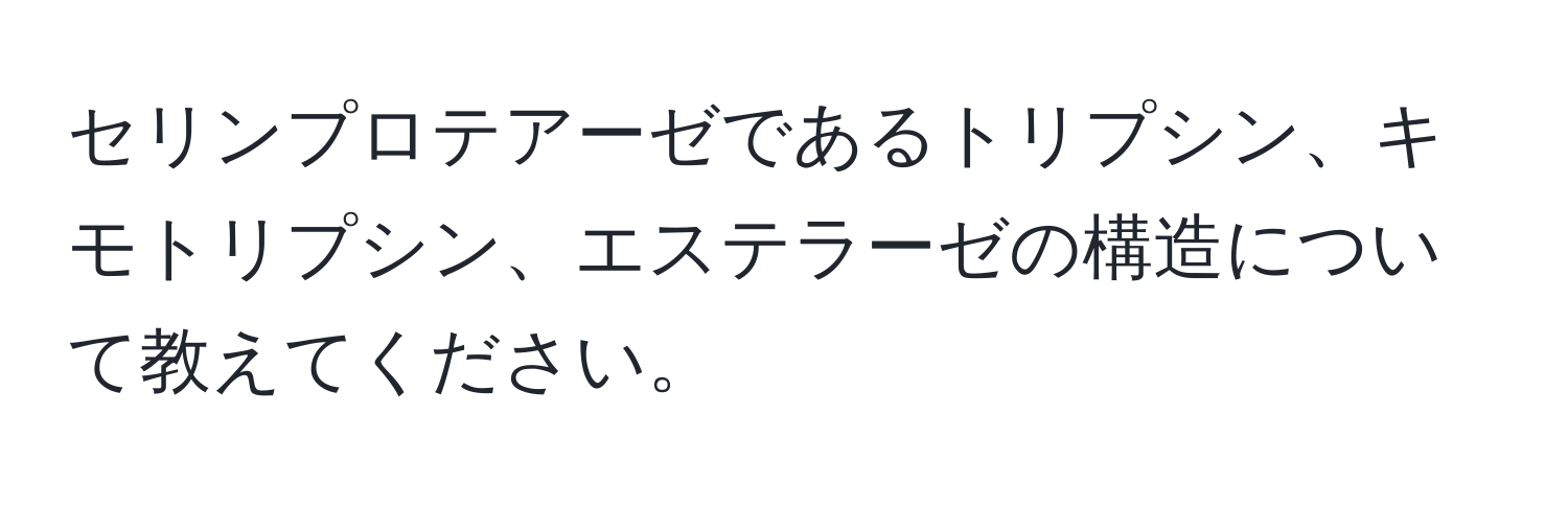 セリンプロテアーゼであるトリプシン、キモトリプシン、エステラーゼの構造について教えてください。