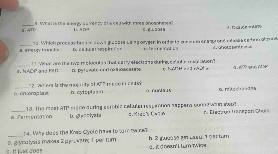 What is the energy currency of a cell with three phosphates?
d. Oxaloacetate
a. ATP b. ADP c. glucose
_10. Which process breaks down glucose using oxygen in order to generate energy and release carbon dioxide
a. energy transfer b. cellular respiration c. fermentation d. photosynthesis
_
11. What are the two molecules that carry electrons during cellular respiration?
a. NADP and FAD b. pyruvate and oxaloacetate c. NADH and FADH_2 d. ATP and ADP
12. Where is the majority of ATP made in cells?
a. chloroplast b. cytoplasm c. nucleus d. mitochondria
13. The most ATP made during aerobic cellular respiration happens during what step?
a. Fermentation b. glycolysis c. Kreb’s Cycle d. Electron Transport Chain
14. Why does the Kreb Cycle have to turn twice?
a. glycolysis makes 2 pyruvate; 1 per turn b. 2 glucose get used; 1 per turn
c. it just does d. it doesn’t turn twice