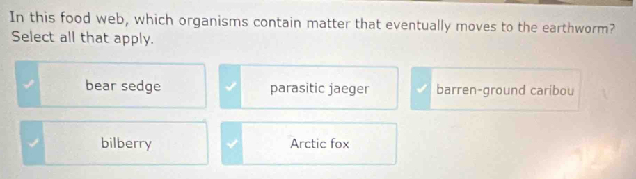 In this food web, which organisms contain matter that eventually moves to the earthworm?
Select all that apply.
bear sedge parasitic jaeger barren-ground caribou
bilberry Arctic fox