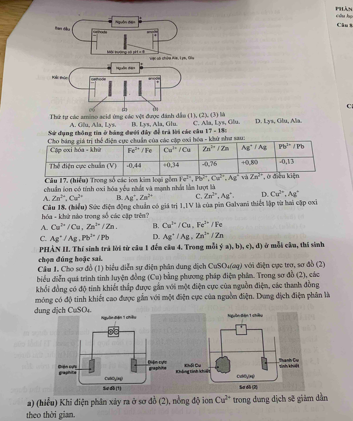 phàn
câu họ
Nguồn điện Câu 8
Ban đầu cathode
anode
Môi trường có pH = 6
Vệt có chứa Ala, Lys, Glu
+
Nguồn điện
anode
Kết thúc cathode +
(1) (2) (3)
C
Thứ tự các amino acid ứng các vệt được đánh dấu (1), (2), (3) là
A. Glu, Ala, Lys. B. Lys, Ala, Glu. C. Ala, Lys, Glu. D. Lys, Glu, Ala.
Sử dụng thông tin ở bảng dưới đây để trả lời các câu 17 - 18:
i hóa - khử như sau:
Câu 17. (hiểu) Trong số các ion kim loại gồm Fe^(2+),Pb^(2+),Cu^(2+),Ag^+
chuẩn ion có tính oxi hóa yếu nhất và mạnh nhất lần lượt là
A. Zn^(2+),Cu^(2+) B. Ag^+,Zn^(2+) C. Zn^(2+),Ag^+. D. Cu^(2+),Ag^+
Câu 18. (hiểu) Sức điện động chuẩn có giá trị 1,1V là của pin Galvani thiết lập từ hai cặp oxi
hóa - khử nào trong số các cặp trên?
A. Cu^(2+)/Cu,Zn^(2+)/Zn. B. Cu^(2+)/Cu,Fe^(2+)/Fe
C. Ag^+/Ag,Pb^(2+)/Pb D. Ag^+/Ag,Zn^(2+)/Zn
PHÀN II. Thí sinh trả lời từ câu 1 đến câu 4. Trong mỗi ý a), b), c), d) ở mỗi câu, thí sinh
chọn đúng hoặc sai.
Câu 1. Cho sơ đồ (1) biểu diễn sự điện phân dung dịch ở CuSO_4(aq) với điện cực trơ, sơ đồ (2)
biểu diễn quá trình tinh luyện đồng (Cu) bằng phương pháp điện phân. Trong sơ đồ (2), các
khối đồng có độ tinh khiết thấp được gắn với một điện cực của nguồn điện, các thanh đồng
mỏng có độ tinh khiết cao được gắn với một điện cực của nguồn điện. Dung dịch điện phân là
dung dịch CuSO₄.
a) (hiểu) Khi điện phân xảy ra ở sơ đồ (2), nồng độ ion Cu^(2+) trong dung dịch sẽ giảm dần
theo thời gian.