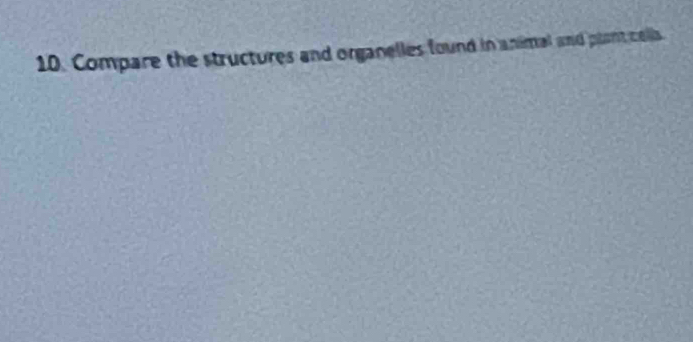 Compare the structures and organelles found in animal and plant cells.