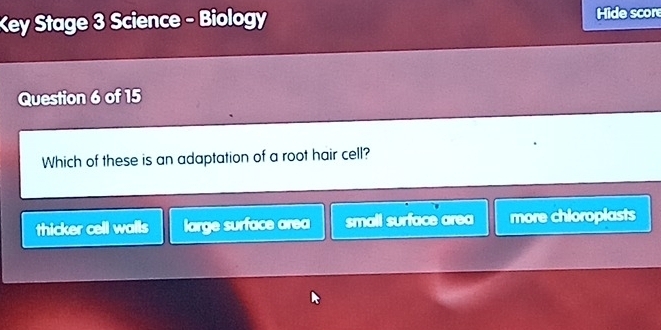 Key Stage 3 Science - Biology Hide score
Question 6 of 15
Which of these is an adaptation of a root hair cell?
thicker cell walls large surface area small surface area more chioroplasts