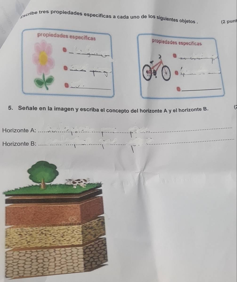 escribe tres propiedades especificas a cada uno de los siguientes objetos . (2 pun 
propiedades especificas 
_ 
_ 
_ 
5. Señale en la imagen y escriba el concepto del horizonte A y el horizonte B. 
(2 
Horizonte A: 
_ 
Horizonte B: 
_