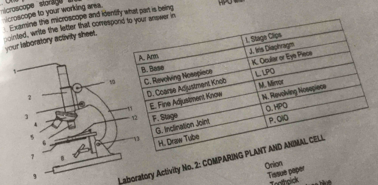 nicroscope storage 
nicroscope to your working area. 
Examine the microscope and identify what part is being 
HPO W 
pointed, write the letter that corresponwer in 
your laboratory activity sheet. 
Laboratory Activity No. 2: COMPARIN 
Onion 
Tissue paper 
Toothoick