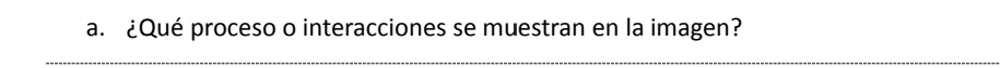 ¿Qué proceso o interacciones se muestran en la imagen?
