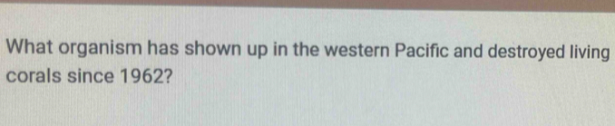 What organism has shown up in the western Pacific and destroyed living 
corals since 1962?