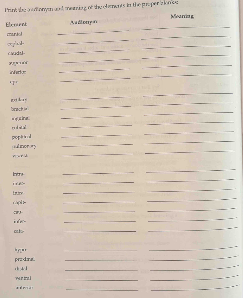 Print the audionym and meaning of the elements in the proper blanks: 
Meaning 
_ 
Element Audionym 
cranial 
_ 
_ 
cephal- 
_ 
caudal- 
_ 
_ 
superior 
_ 
_ 
inferior 
_ 
_ 
epi- 
_ 
_ 
axillary 
_ 
_ 
brachial 
_ 
_ 
inguinal 
_ 
_ 
cubital 
_ 
_ 
popliteal 
_ 
_ 
pulmonary 
_ 
_ 
viscera 
_ 
_ 
intra- 
_ 
_ 
inter- 
_ 
_ 
infra- 
_ 
_ 
capit- 
_ 
_ 
cau- 
_ 
_ 
infer- 
_ 
_ 
cata- 
_ 
_ 
hypo- 
_ 
_ 
proximal 
_ 
_ 
distal 
_ 
_ 
ventral 
_ 
_ 
anterior 
_ 
_