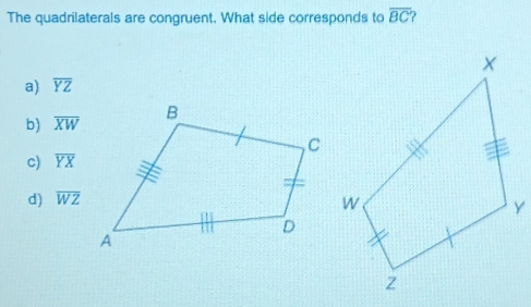 The quadrilaterals are congruent, What side corresponds to overline BC 2
a) overline YZ
b) overline XW
c) overline YX
d) overline WZ