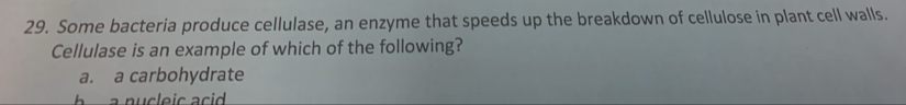 Some bacteria produce cellulase, an enzyme that speeds up the breakdown of cellulose in plant cell walls.
Cellulase is an example of which of the following?
a. a carbohydrate
h a nu cleic a c .