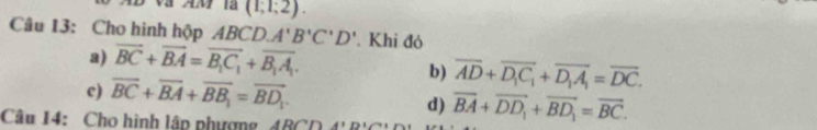 (1;1;2). 
Câu 13: Cho hình hộp 4BCD. A'B'C'D'. Khi đó
a) vector BC+vector BA=vector B_1C_1+vector B_1A_1.
c) overline BC+overline BA+overline BB_1=overline BD_1.
b) overline AD+overline D_1C_1+overline D_1A_1=overline DC.
d)
Câu 14: Cho hình lập phượng ABCD A'D' overline BA+overline DD_1+overline BD_1=overline BC.