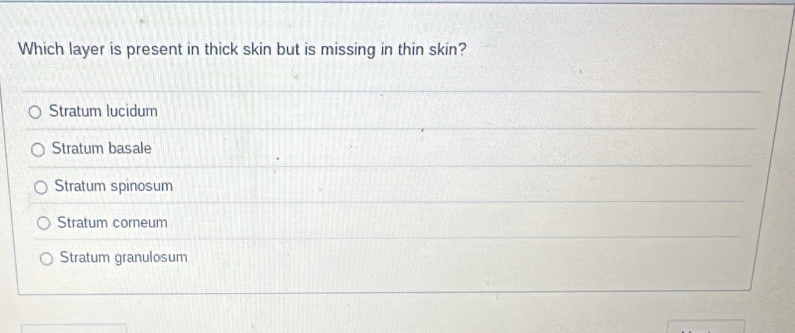 Which layer is present in thick skin but is missing in thin skin?
Stratum lucidum
Stratum basale
Stratum spinosum
Stratum corneum
Stratum granulosum