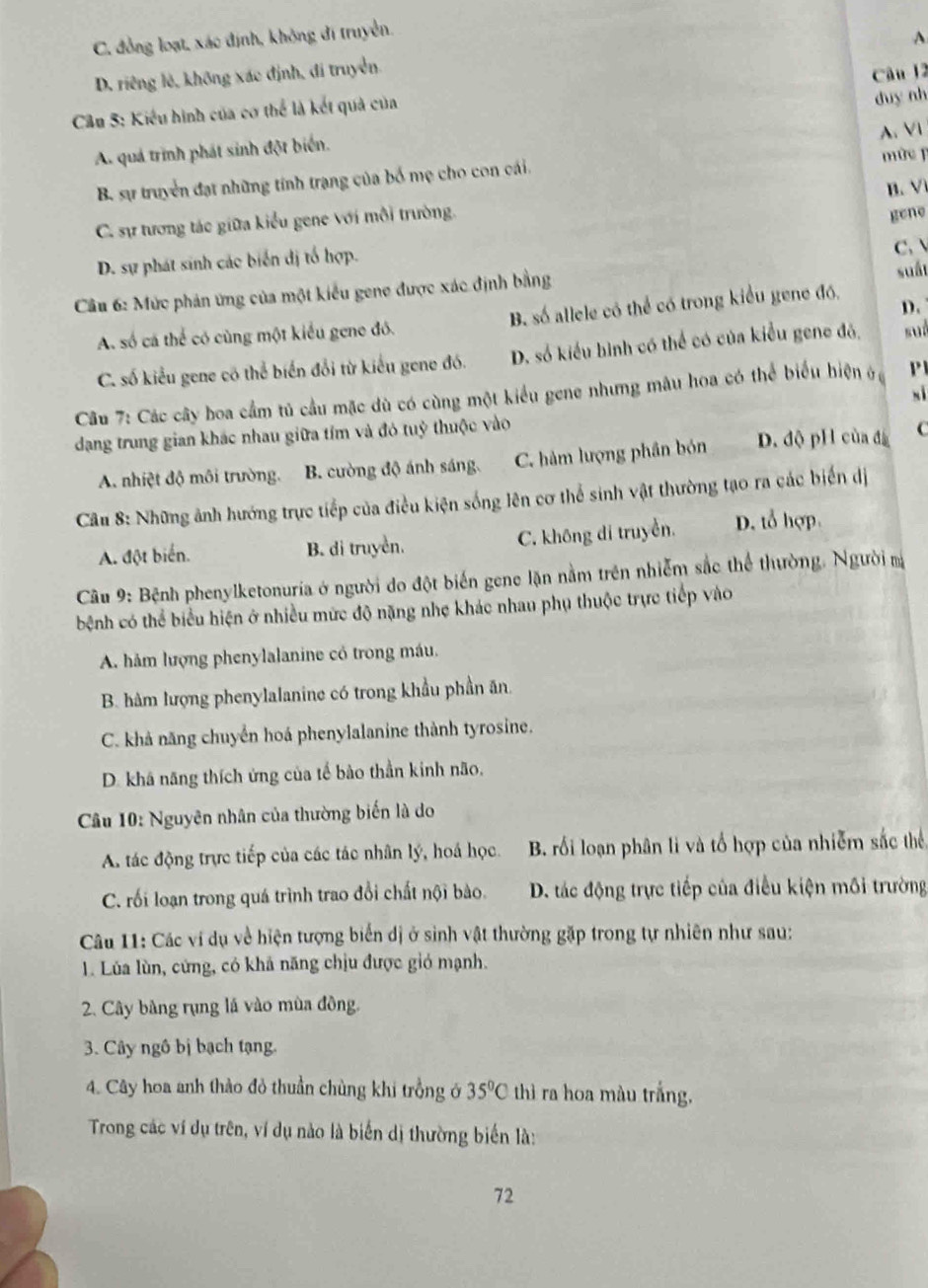 C. đồng loạt, xác định, không đi truyền.
A
D. riêng lẻ, không xác định, đi truyền
Cầu 5: Kiểu hình của cơ thể là kết quả của Câu 12
A. VI
A. quả trình phát sinh đột biển. duy nh
mức
B. sự truyền đạt những tính trang của bố mẹ cho con cái.
B. V
C. sự tương tác giữa kiểu gene với môi trường.
gene
D. sự phát sinh các biến dị tố hợp.
C. 
Câu 6: Mức phản ứng của một kiểu gene được xác định bằng
suất
D.
A. số cá thể có cùng một kiểu gene đó. B. số allele có thể có trong kiểu gene đó,
C. số kiểu gene có thể biển đổi từ kiểu gene đó. D. số kiểu hình có thể có của kiểu gene đó, suǒ
xì
Câu 7: Các cây hoa cầm tủ cầu mặc dù có cùng một kiểu gene nhưng mâu hoa có thể biểu hiện ở P
dạng trung gian khác nhau giữa tím và đó tuỷ thuộc vào
A. nhiệt độ môi trường. B. cường độ ánh sáng. C. hàm lượng phần bón D. độ pH của đá C
Câu 8: Những ảnh hướng trực tiếp của điều kiện sống lên cơ thể sinh vật thường tạo ra các biến dị
A. đột biển. B. di truyền. C. không di truyền. D. tổ hợp.
Cu 9: Bệnh phenylketonuria ở người do đột biến gene lặn nằm trên nhiễm sắc thể thường, Người m
bệnh có thể biểu hiện ở nhiều mức độ nặng nhẹ khác nhau phụ thuộc trực tiếp vào
A. hám lượng phenylalanine có trong máu.
B. hàm lượng phenylalanine có trong khẩu phần ăn.
C. khả năng chuyển hoá phenylalanine thành tyrosine.
D. khá năng thích ứng của tế bào thần kinh não,
Câu 10: Nguyên nhân của thường biến là do
A. tác động trực tiếp của các tác nhân lý, hoá học. B. rối loạn phân li và tổ hợp của nhiễm sắc thể
C. rối loạn trong quá trình trao đổi chất nội bào. D. tác động trực tiếp của điều kiện mối trường
Câu 11: Các ví dụ về hiện tượng biển dị ở sinh vật thường gặp trong tự nhiên như sau:
1. Lúa lùn, cứng, có khả năng chịu được gió mạnh.
2. Cây bàng rụng lá vào mùa đồng.
3. Cây ngô bị bạch tạng.
4. Cây hoa anh thào đỏ thuần chùng khi trồng ở 35°C thì ra hoa màu trắng,
Trong các ví dụ trên, ví dụ nào là biến dị thường biến là:
72