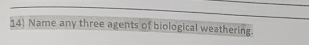 Name any three agents of biological weathering.