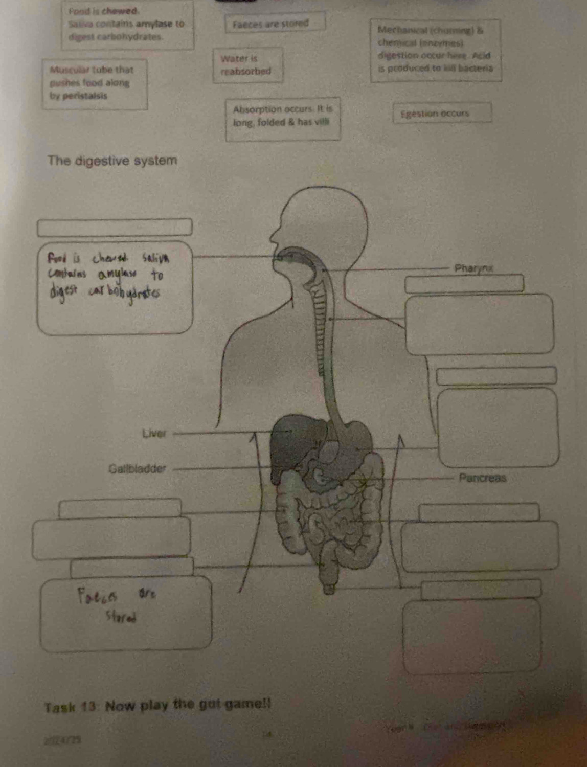 Food is chewed. 
Saiva contains amylase to Faeces are stored Mechanical (churning) & 
digest carbohydrates. chemical (enzymes) 
Water is digestion occur here. Acid 
Muscular tube that reabsorbed is produced to kill bacteria 
pushes food along 
by peristalsis 
Absorption occurs. It is 
Egestion occurs 
long, folded & has villi 
The digestive system 
Pool is chewtd salivn 
Contains amulaso to Pharynx 
ligest car b ydrate 
Liver 
Gatlbladder 
Pancreas 
art 
Stare 
Task 13: Now play the gut game!!
24729