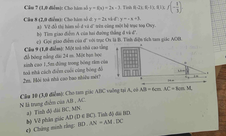 (1,0 điểm): Cho hàm số y=f(x)=2x-3 , Tính f(-2);f(-1);f(1);f(- 1/3 ).
Câu 8 (2,0 điểm): Cho hàm số d: y=2x và d':y=-x+3.
a) Vẽ đồ thị hàm số d và d² trên cùng một hệ trục toạ Oxy.
b) Tìm giao điểm A của hai đường thẳng d và d'.
c) Gọi giao điểm của d’ với trục Ox là B. Tính diện tích tam giác AOB.
Câu 9 (1,0 điễm): Một toà nhà cao tầng
đồ bóng nắng dài 24 m. Một bạn học
sinh cao 1,5m đứng trong bóng rầm của
toà nhà cách điểm cuối cùng bóng đồ
2m. Hỏi toà nhà cao bao nhiêu mét?
Câu 10 (3,0 điểm): Cho tam giác ABC vuông tại A, có 
N là trung điểm của AB , AC.
a) Tính độ dài BC, MN.
b) Vẽ phân giác AD(D∈ BC). Tính độ dài BD.
c) Chứng minh rằng: BD . AN=AM.DC