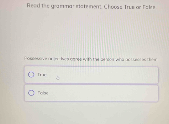 Read the grammar statement. Choose True or False.
Possessive adjectives agree with the person who possesses them.
True
False