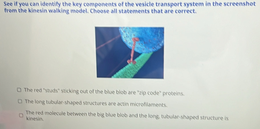 Solved: See if you can identify the key components of the vesicle ...