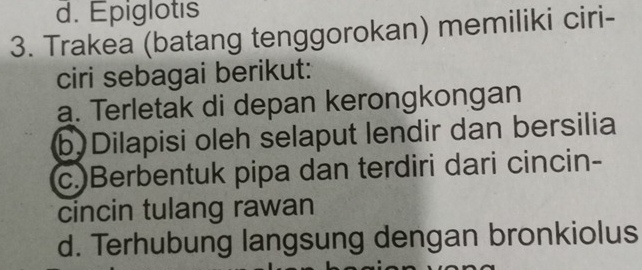 d. Epiglotis
3. Trakea (batang tenggorokan) memiliki ciri-
ciri sebagai berikut:
a. Terletak di depan kerongkongan
b)Dilapisi oleh selaput lendir dan bersilia
c.)Berbentuk pipa dan terdiri dari cincin-
cincin tulang rawan
d. Terhubung langsung dengan bronkiolus