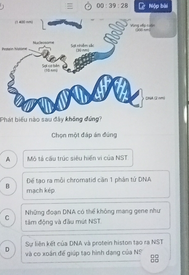 00:39:28 Nộp bài
Protein histone
Phát biểu nào sau đây không đúng?
Chọn một đáp án đúng
A Mô tả cấu trúc siêu hiến vi của NST.
Đế tạo ra mỗi chromatid cần 1 phân tử DNA
B
mạch kép
Những đoạn DNA có thế không mang gene như
C tâm động và đầu mút NST.
Sự liên kết của DNA và protein histon tạo ra NST
D và co xoán đế giúp tạo hình dạng của NS