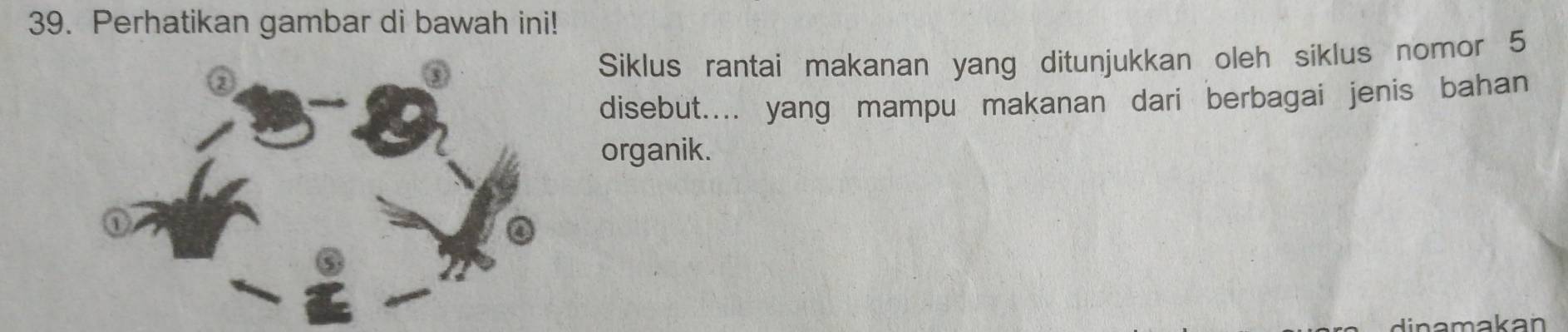 Perhatikan gambar di bawah ini! 
Siklus rantai makanan yang ditunjukkan oleh siklus nomor 5
disebut.... yang mampu makanan dari berbagai jenis bahan 
organik. 
linamakan