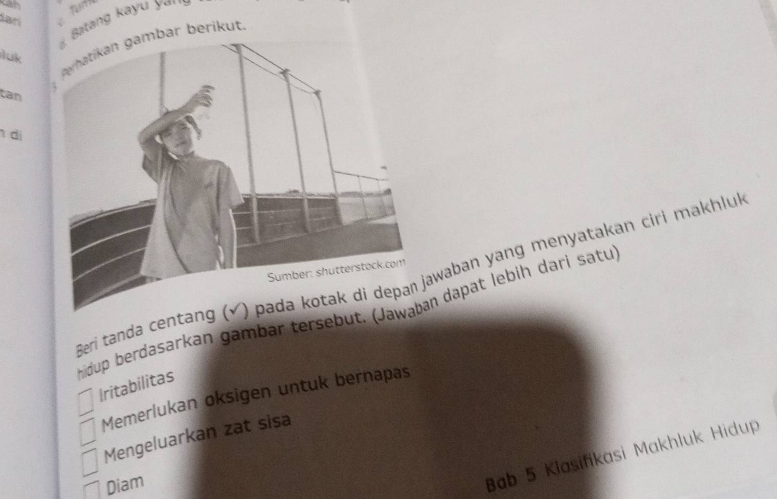 ianí 
Batang kayu y 
py hatikan gambar berikut 
Iluk 
tan 
di 
Beri tanda centanawaban yang menyatakan ciri makhlul 
hidup berdasarkan gambar tersebut. n dapat lebih dari satu 
Iritabilitas 
Memerlukan oksigen untuk bernapas 
Mengeluarkan zat sisa 
Diam 
Bab 5 Klasifikasi Makhluk Hidup