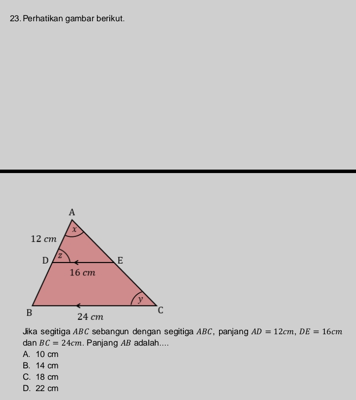 Perhatikan gambar berikut.
Jika segitiga ABC sebangun dengan segitiga ABC, panjang AD=12cm, DE=16cm
dan BC=24cm. Panjang AB adalah....
A. 10 cm
B. 14 cm
C. 18 cm
D. 22 cm