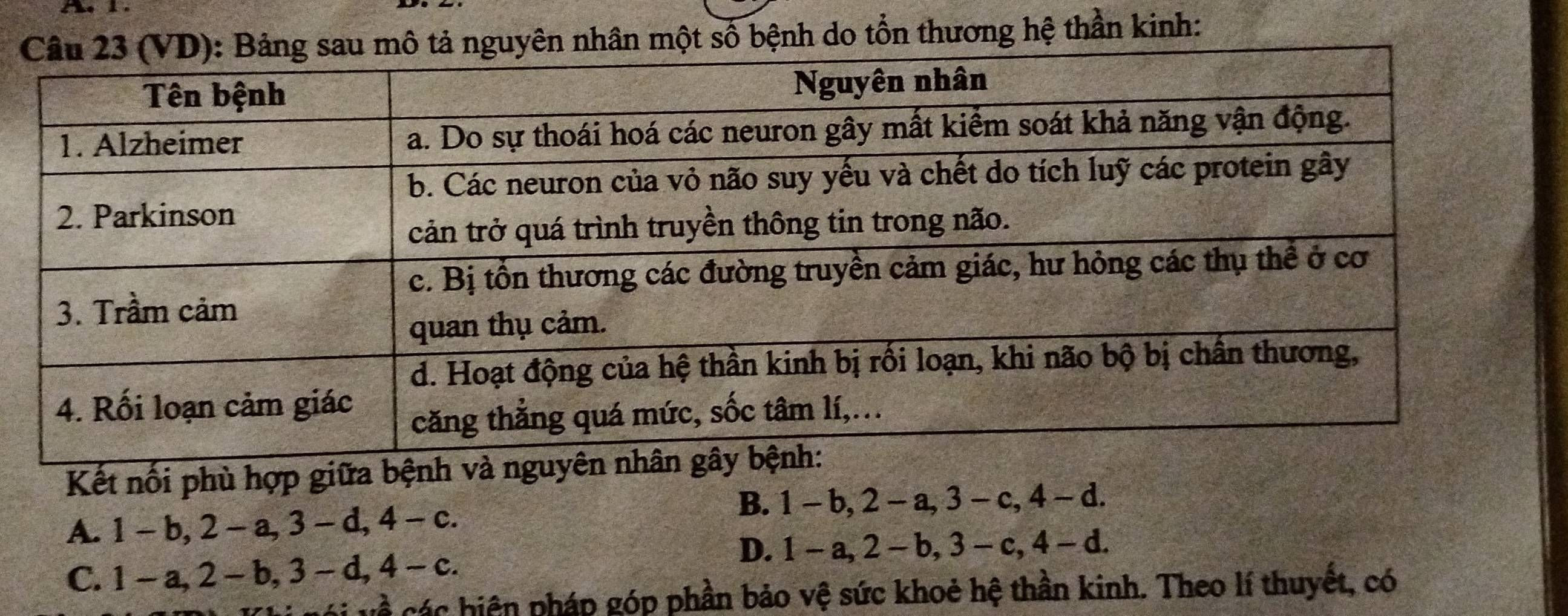 ột số bệnh do tổn thương hệ thần kinh:
Kết nối phù hợp giữa
A. 1-b, 2-a, 3-d, 4-c.
B. 1 - b, 2 - a, 3 - c, 4 - d.
C. 1-a, 2-b, 3-d, 4-c.
D. 1-a. 2- b, 3 - c, 4-d
vớ i về các hiện pháp góp phần bảo vệ sức khoẻ hệ thần kinh. Theo lí thuyết, có