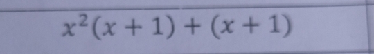 x^2(x+1)+(x+1)