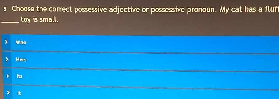 Choose the correct possessive adjective or possessive pronoun. My cat has a fluf 
_toy is small. 
Mine 
Hers 
_ 
Its 
_ 
It