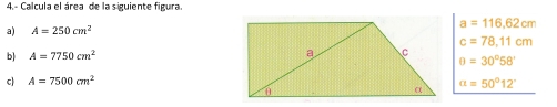 4- Calcula el área de la siguiente figura 
a) A=250cm^2 a=116.62cm
c=78,11cm
b) A=7750cm^2 θ =30°58'
c) A=7500cm^2
alpha =50°12'