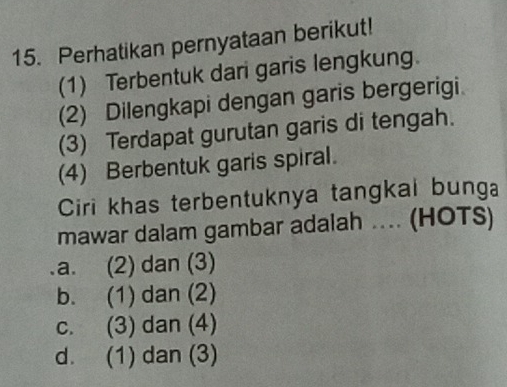 Perhatikan pernyataan berikut!
(1) Terbentuk dari garis lengkung.
(2) Dilengkapi dengan garis bergerigi.
(3) Terdapat gurutan garis di tengah.
(4) Berbentuk garis spiral.
Ciri khas terbentuknya tangkai bunga
mawar dalam gambar adalah ... (HOTS)
a. (2) dan (3)
b. (1) dan (2)
c. (3) dan (4)
d. (1) dan (3)