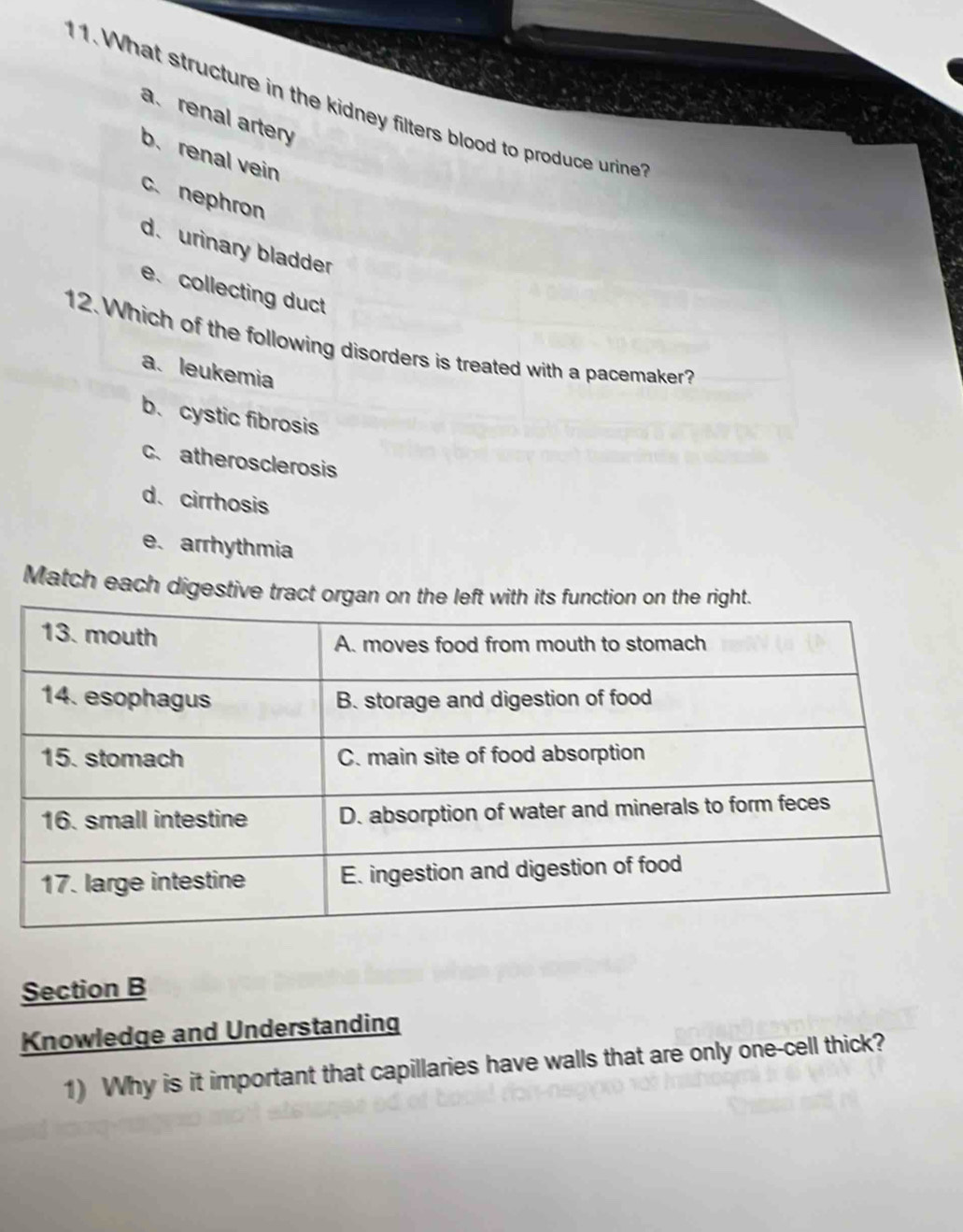 What structure in the kidney filters blood to produce urine
a、 renal artery
b.renal vein
c. nephron
d. urinary bladder
e、 collecting duct
12. Which of the following disorders is treated with a pacemaker?
a、 leukemia
b. cystic fibrosis
c. atherosclerosis
d、 cirrhosis
e. arrhythmia
Match each digestive tract org
Section B
Knowledge and Understanding
1) Why is it important that capillaries have walls that are only one-cell thick?