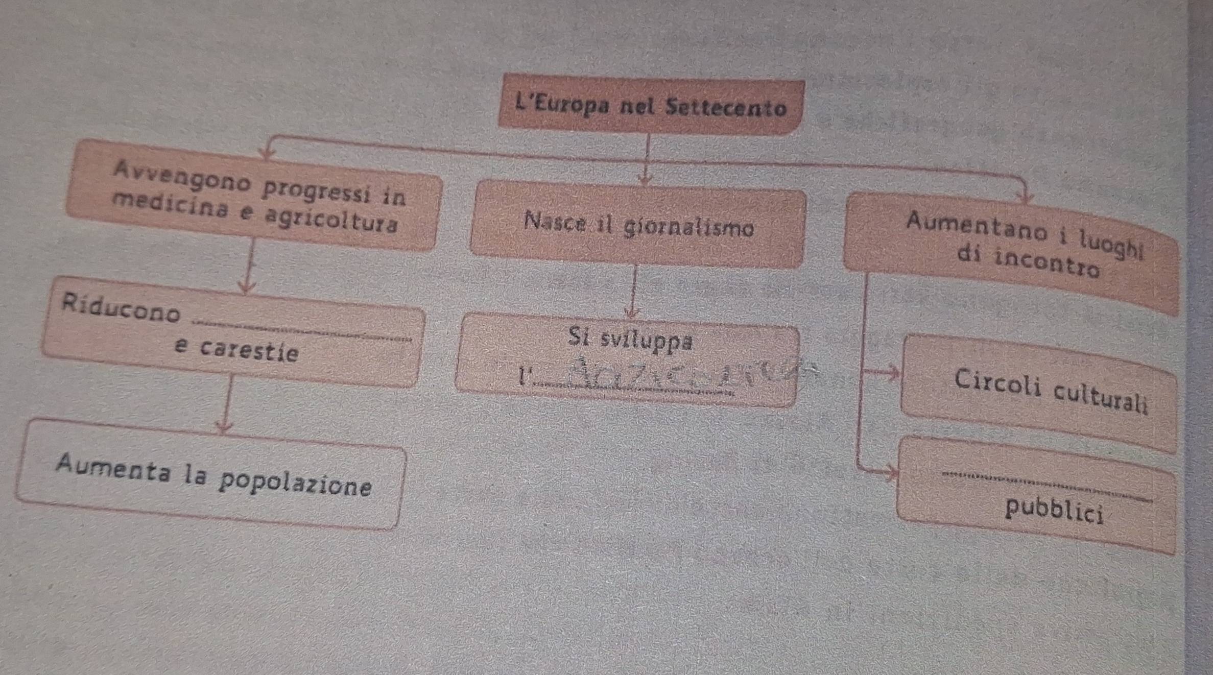 L'Europa nel Settecento 
Avvengono progressi in 
medicina e agrícoltura 
Nasce il giornalismo 
Aumentano i luoghi 
di incontro 
Ríducono _Si sviluppa 
e carestíe 
_ 
1' 
Circoli culturali 
Aumenta la popolazione 
_ 
pubblici