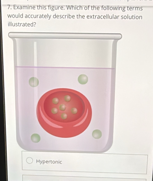 Solved: Examine this figure. Which of the following terms would ...