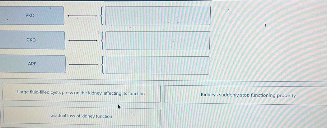 PKD
CKD
ARF
Large fluid-filled cysts press on the kidney, affecting its function Kidneys suddenly stop functioning properly
Gradual loss of kidney function