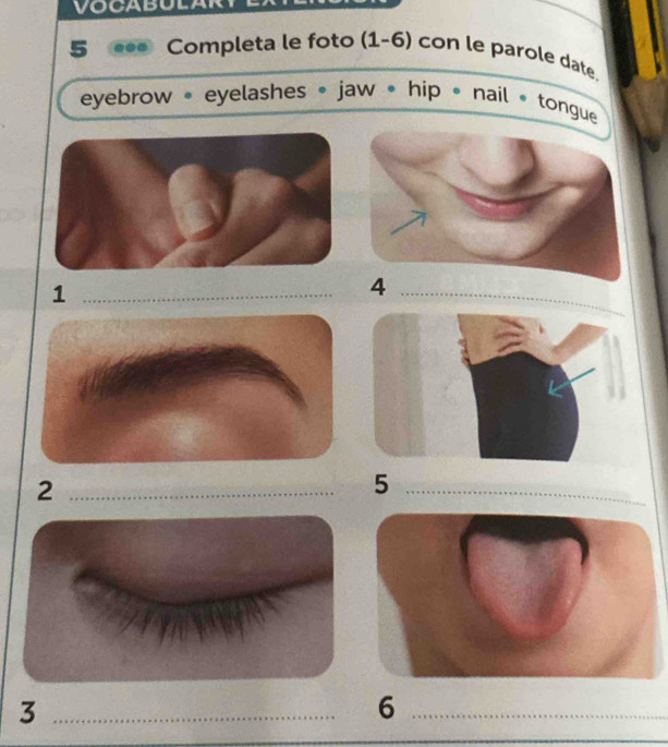 VOCABULAR 
5 ... Completa le foto (1-6) con le parole date 
eyebrow • eyelashes • jaw • hip * nail • tongue 
_1 
_4 
_2 
_5 
_3 
_6