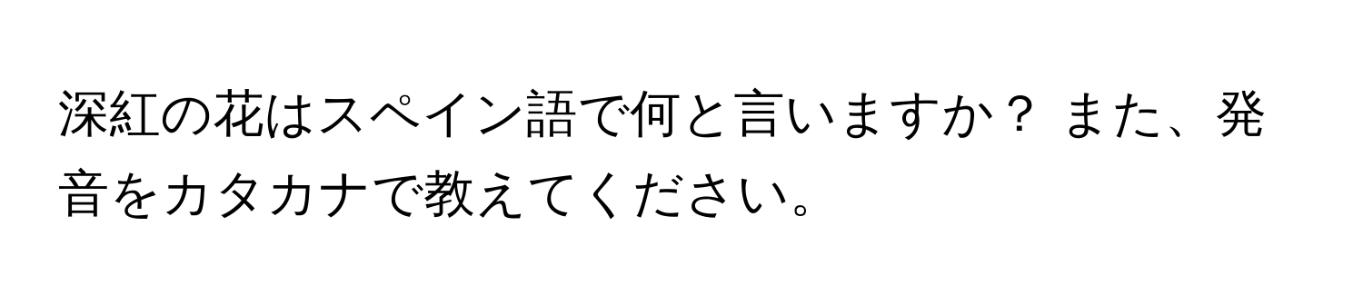 深紅の花はスペイン語で何と言いますか？ また、発音をカタカナで教えてください。