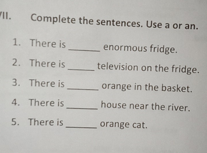 Complete the sentences. Use a or an. 
1. There is_ enormous fridge. 
2. There is _television on the fridge. 
3. There is _orange in the basket. 
4. There is _house near the river. 
5. There is _orange cat.