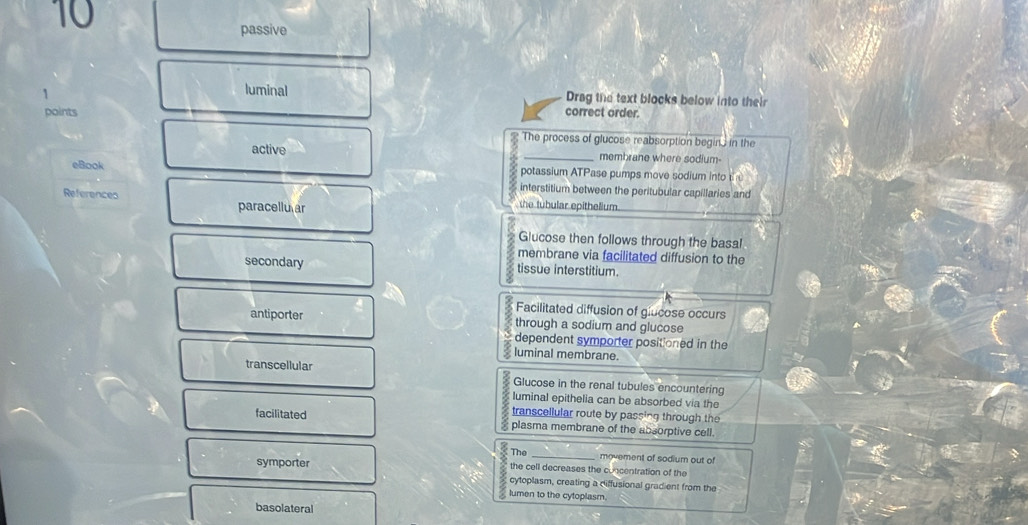 passive
1
luminal Drag the text blocks below into their
points correct order.
The process of glucose reabsorption begin, in the
active _membrane where sodium-
eBook potassium ATPase pumps move sodium into 
interstitium between the peritubular capillaries and
References the tubular epithelium
paracellu ar
Glucose then follows through the basal
membrane via facilitated diffusion to the
secondary tissue interstitium.
Facilitated diffusion of glucose occurs
antiporter through a sodium and glucose
dependent symporter positioned in the
luminal membrane.
transcellular
Glucose in the renal tubules encountering
luminal epithelia can be absorbed via the
transcellular route by passing through the
facilitated plasma membrane of the absorptive cell.
The _movement of sodium out of
symporter the cell decreases the concentration of the
cytoplasm, creating a diffusional gradient from the
lumen to the cytoplasm.
basolateral
