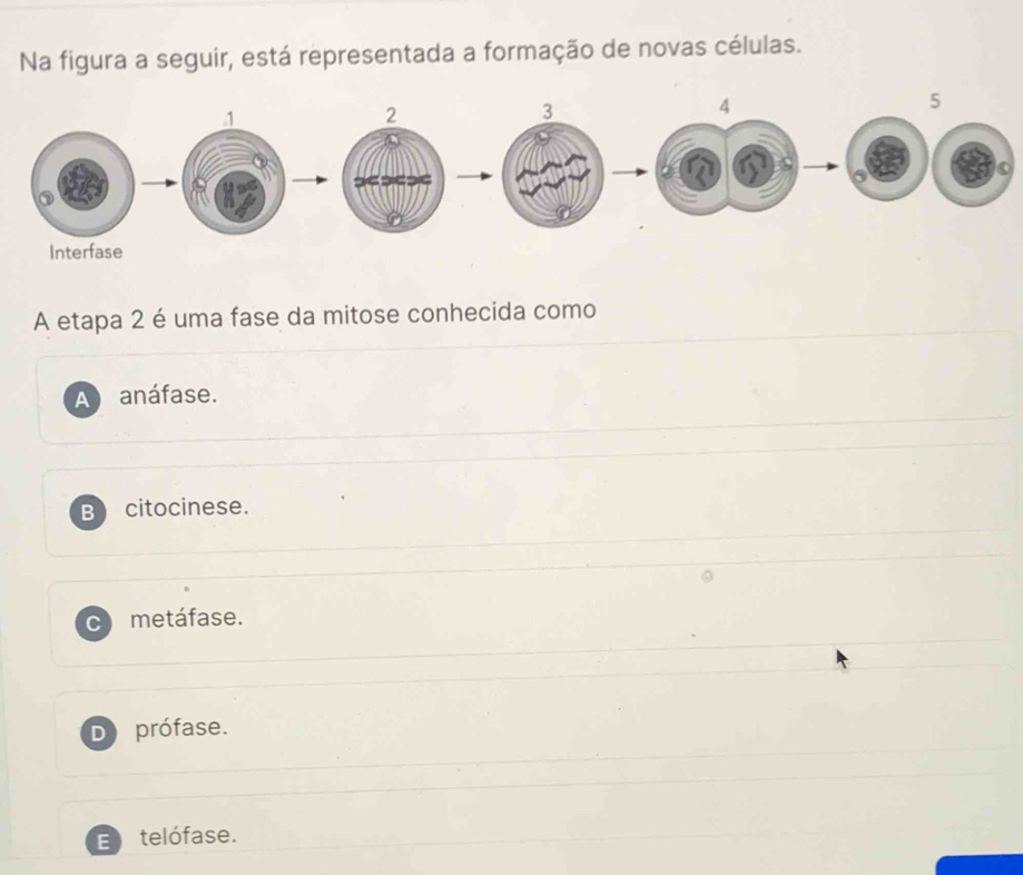 Na figura a seguir, está representada a formação de novas células.
A etapa 2 é uma fase da mitose conhecida como
A anáfase.
B citocinese.
metáfase.
D prófase.
E telófase.