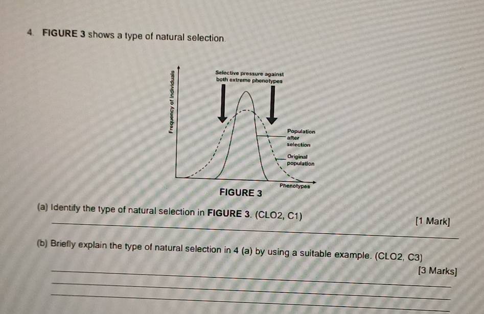 FIGURE 3 shows a type of natural selection. 
。 
Selective pressure against 
both extreme phenotypes 
Population 
after 
selection 
Original 
population 
Phenotypes 
FIGURE 3 
_ 
(a) Identify the type of natural selection in FIGURE 3. (CLO2, C1) [1 Mark] 
(b) Briefly explain the type of natural selection in 4 (a) by using a suitable example. (CLO2, C3) 
_ 
_[3 Marks] 
_