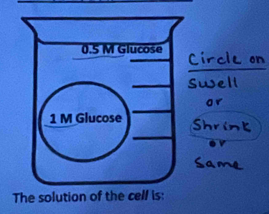 The solution of the cell is: