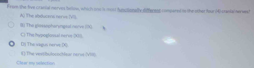 From the five cranial nerves below, which one is most functionally different compared to the other four (4) cranial nerves?
A) The abducens nerve (VI).
B) The glossopharyngeal nerve (IX).
C) The hypoglossal nerve (XII).
. D) The vagus nerve (X).
E) The vestibulocochlear nerve (VIII).
Clear my selection