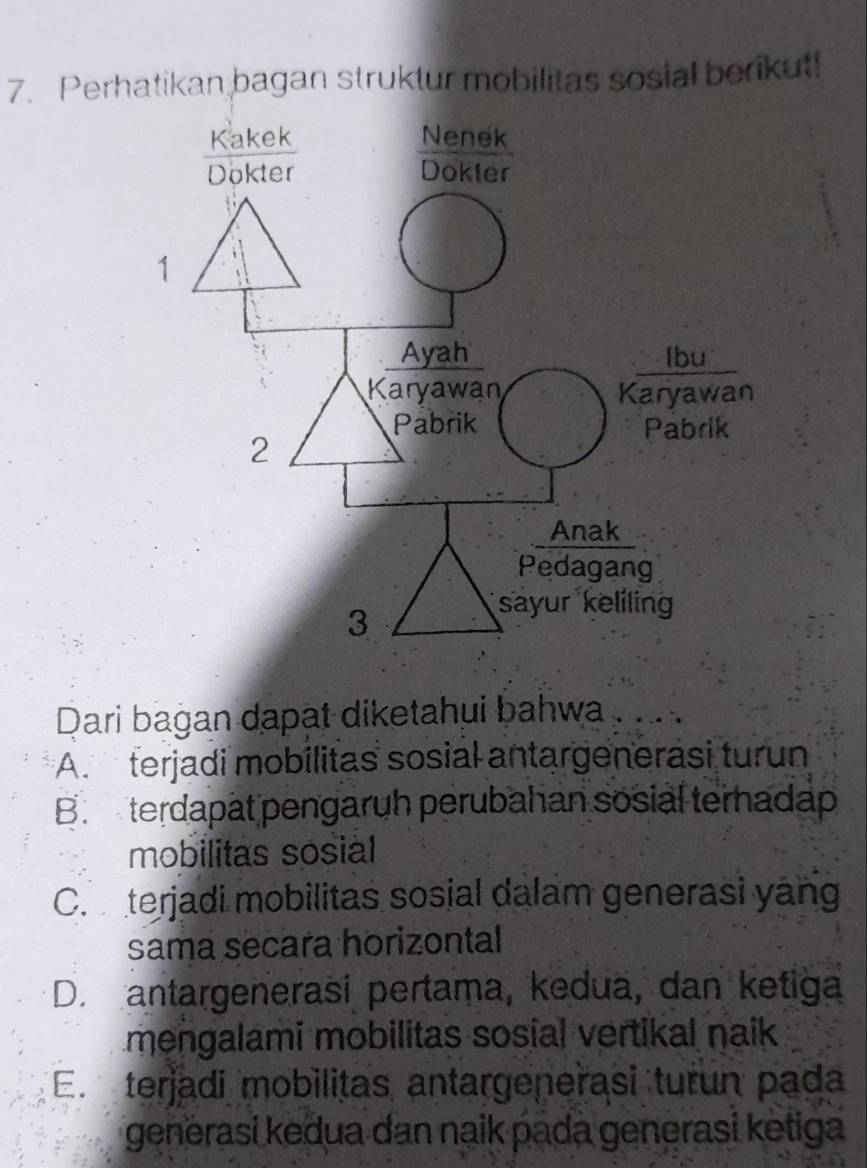 Perhatikan bagan struktur mobilitas sosial berikut!
Dari bagan dapat diketahui bahwa . ..
A. terjadi mobilitas sosial antargenerasi turun
B. terdapat pengaruh perubahan sosial terhadap
mobilitas sosial
C. terjadi mobilitas sosial dalam generasi yang
sama secara horizontal
D. antargenerasi pertama, kedua, dan ketiga
mengalami mobilitas sosial vertikal naik
E. terjadi mobilitas antargenerasi turun pada
generasi kedua dan naik pada generasi ketiga