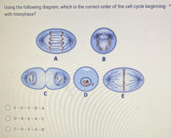 Solved: Using the following diagram, which is the correct order of the ...