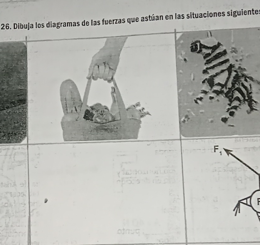 Dibuja los diagramas de las fuerzas que astúan en las situaciones siguientes
F_1