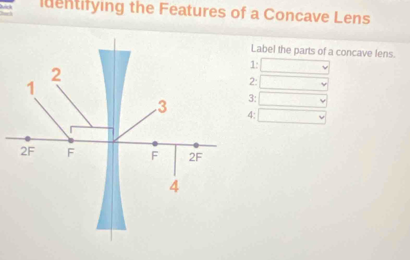 Solved: Quick identifying the Features of a Concave Lens Label the ...